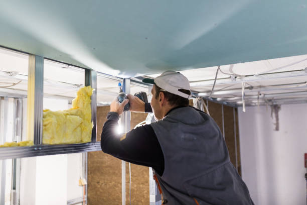 Best Insulation Removal  in West Long Branch, NJ