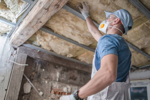 Insulation Replacement Services